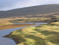 Ukázka jedné z typických „tváří“ krajiny Islandu. V minulosti zde však byly lesy. (severovýchod ostrova, nedaleko Ásbyrgi)